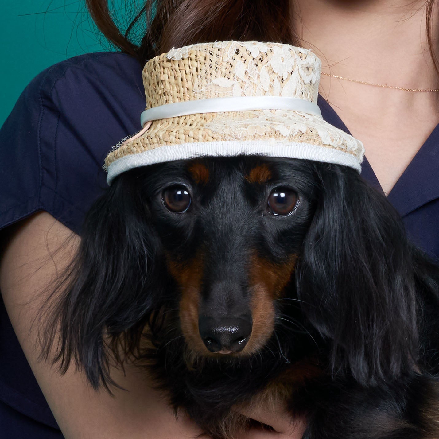 ラフィアレースカンカン帽(FOR DOG)