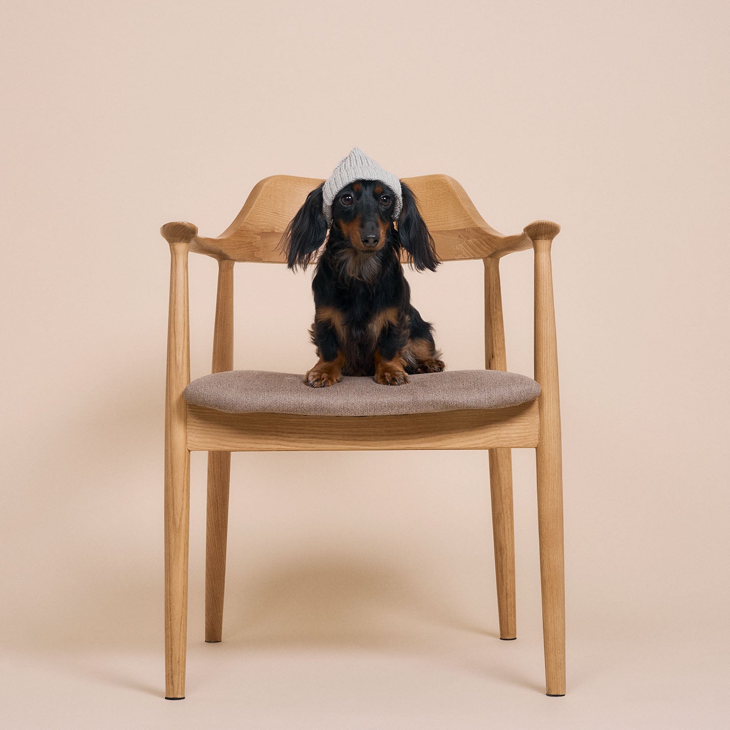 ウール混ニットキャップ帽(FOR DOG)S/Mサイズ