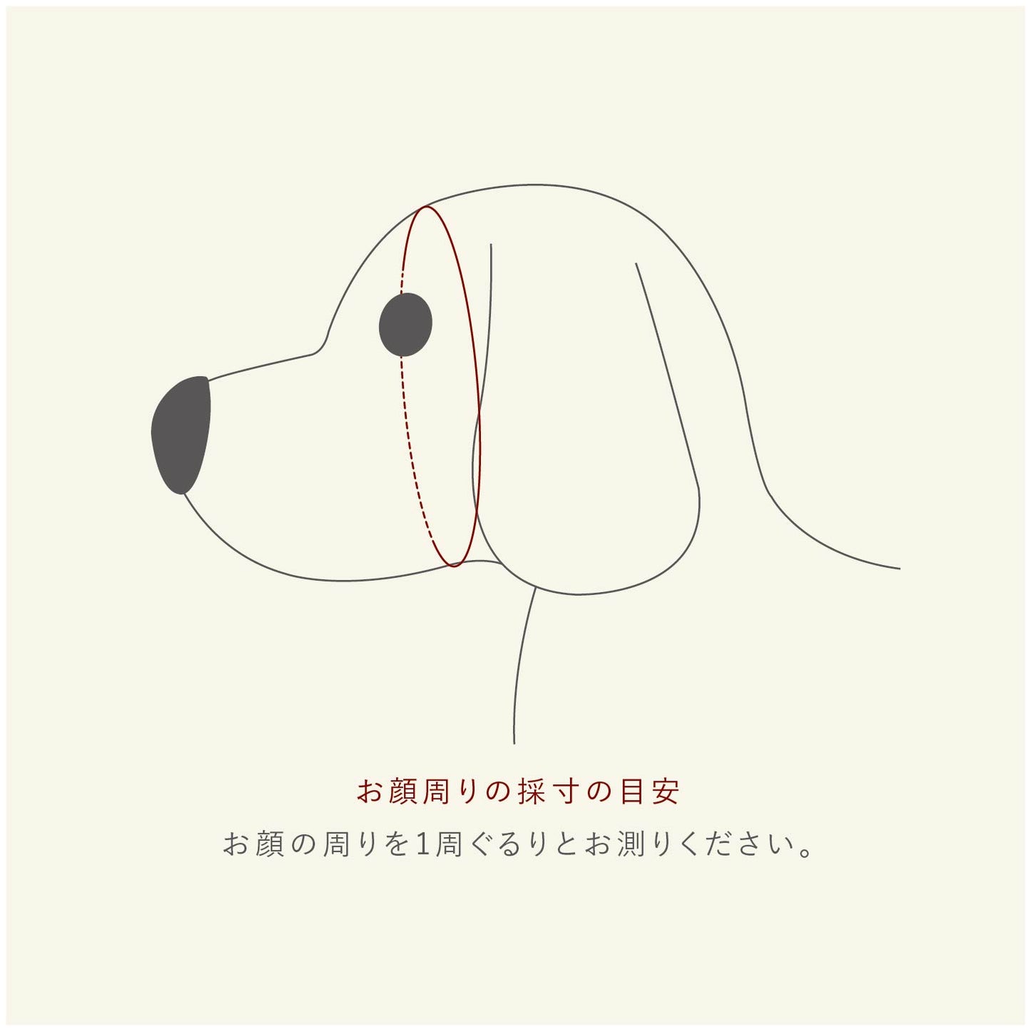 レースインナーキャップ