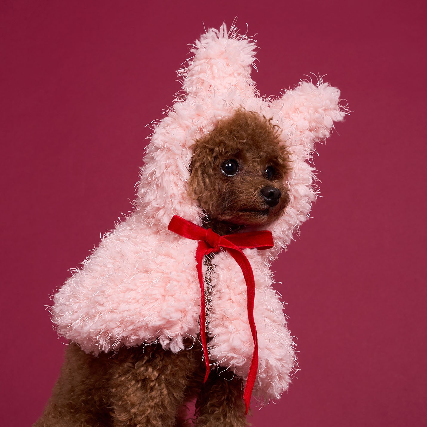 モコモコうさみみケープ(FOR DOG)