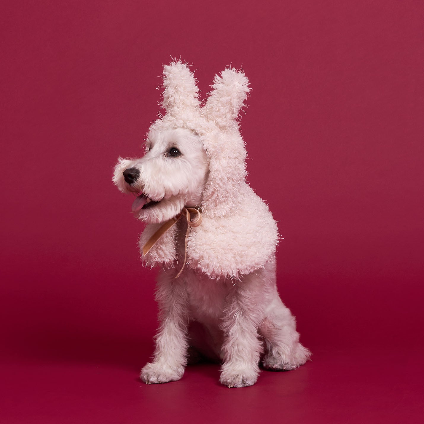モコモコうさみみケープ(FOR DOG)