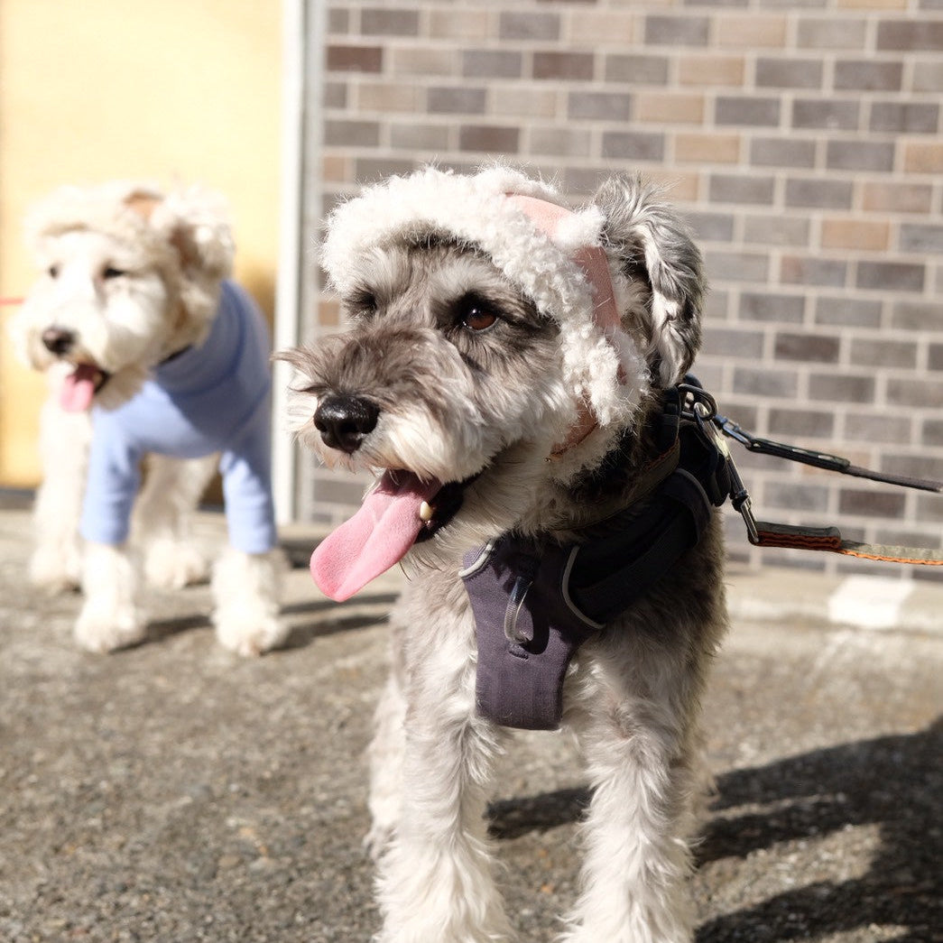 フライトキャップ