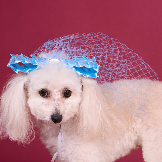 リボンチュール（FOR DOG）
