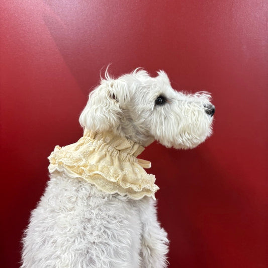 スカラップフリルビブ（FOR DOG）