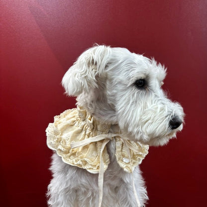 スカラップフリルビブ（FOR DOG）