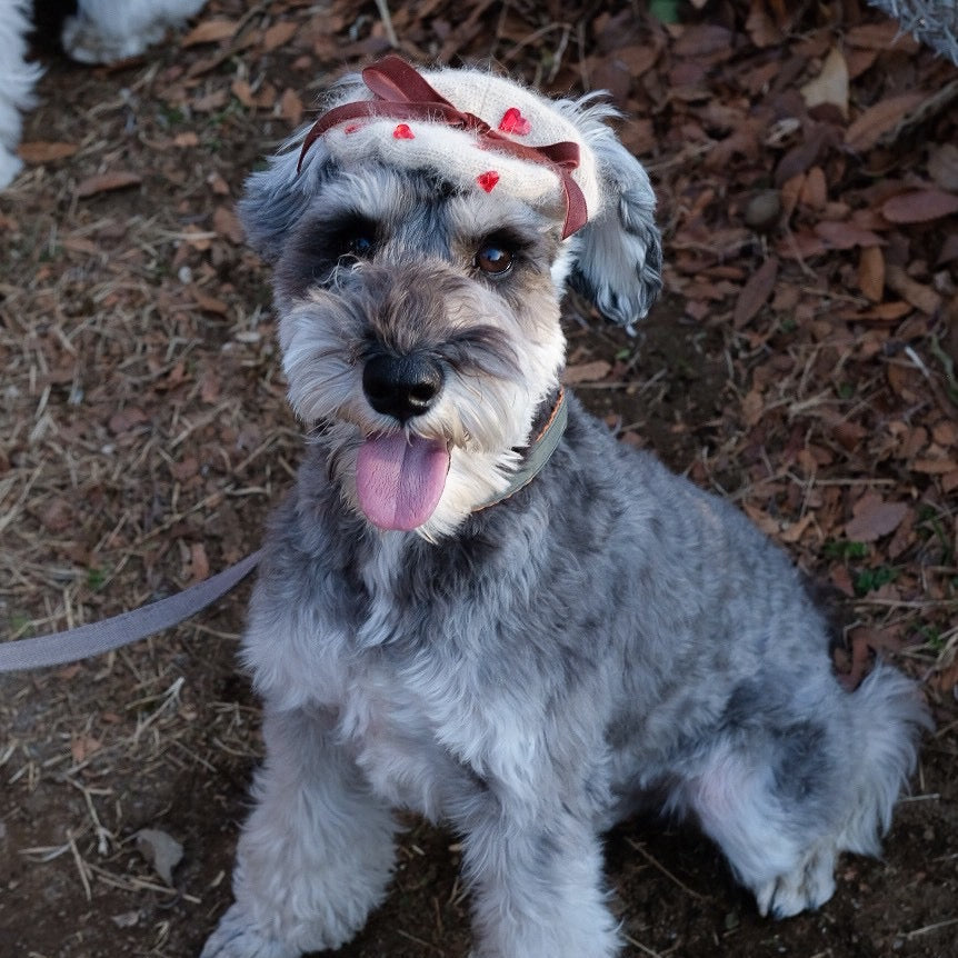 バレンタイン限定ベレー帽