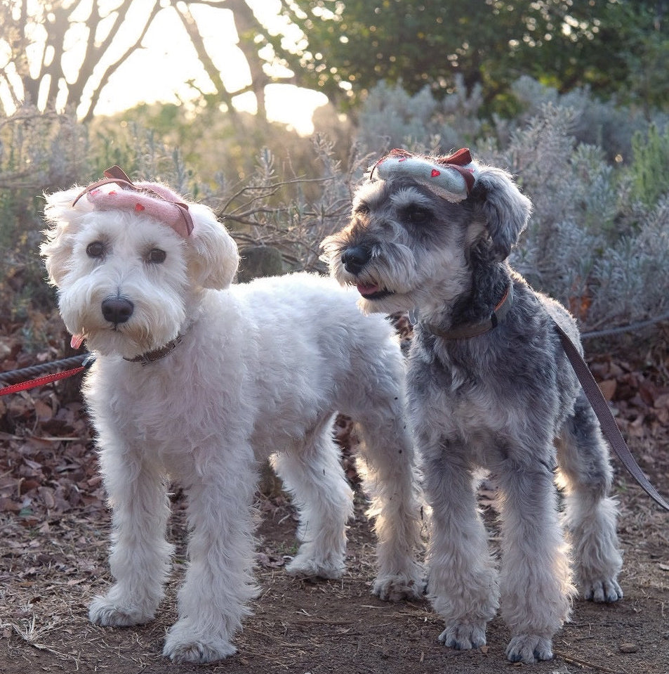 バレンタイン限定ベレー帽