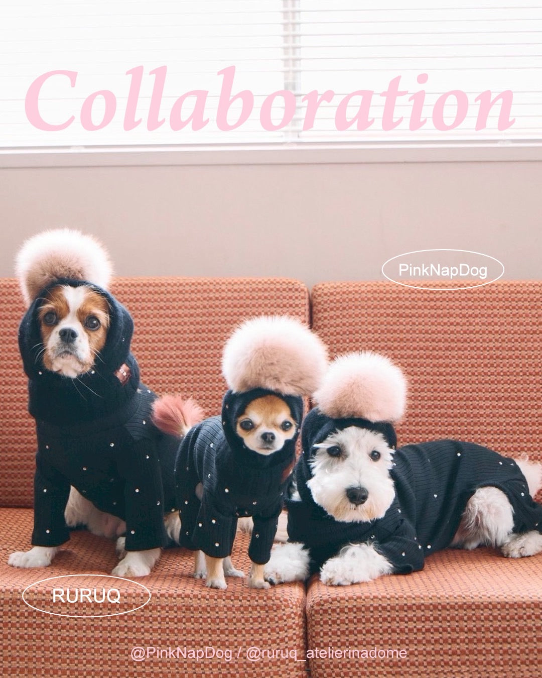 PinkNapDog×RURUQ コラボバラクラバ