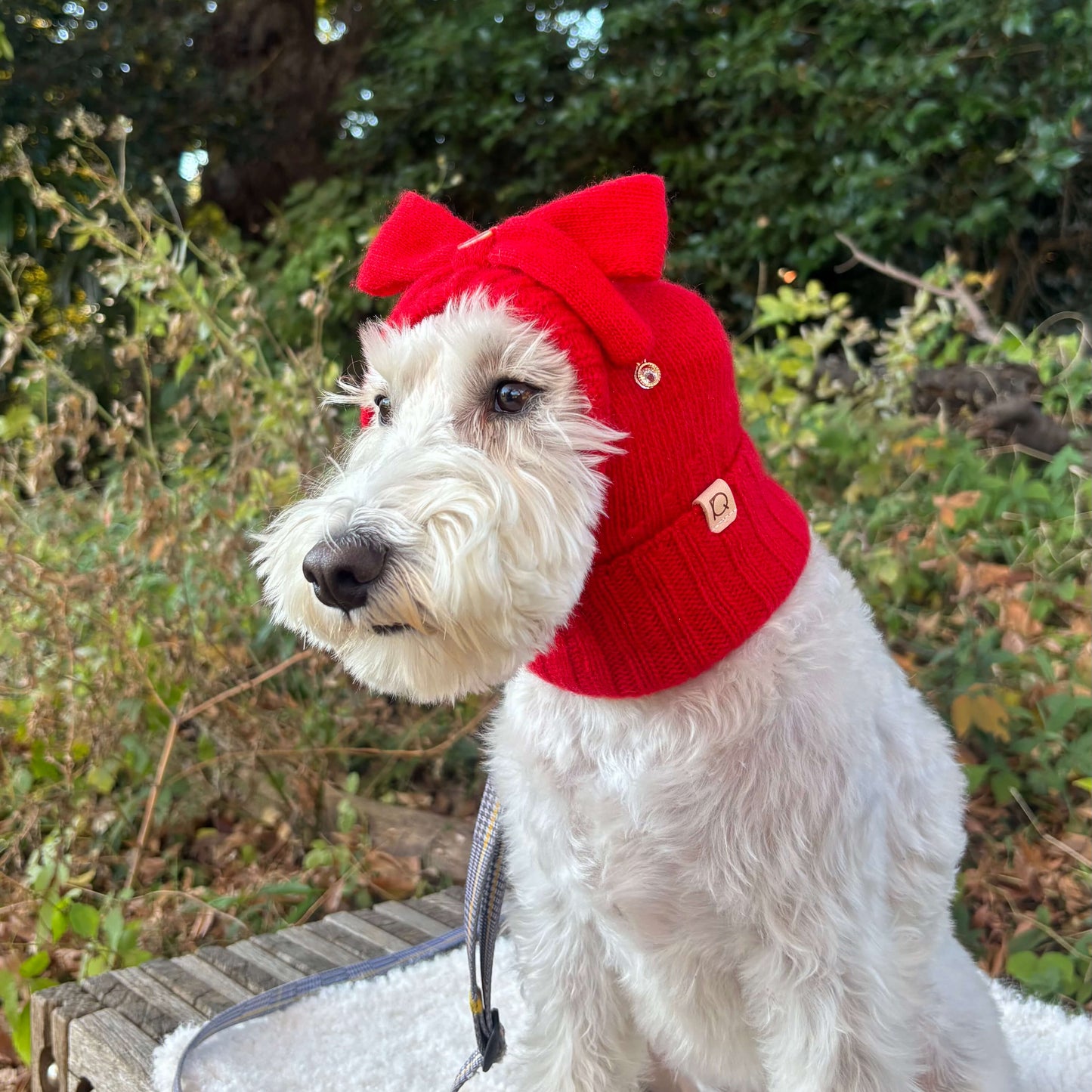 カシミアバラクラ バリボン