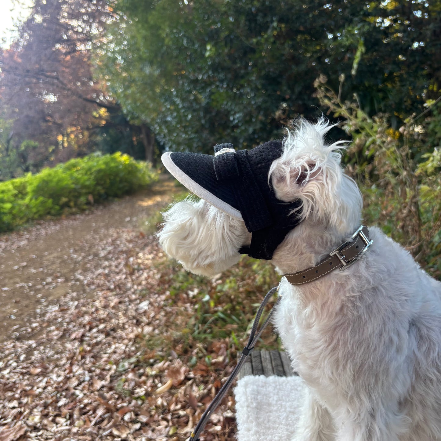 ベロアリボンサンバイザー