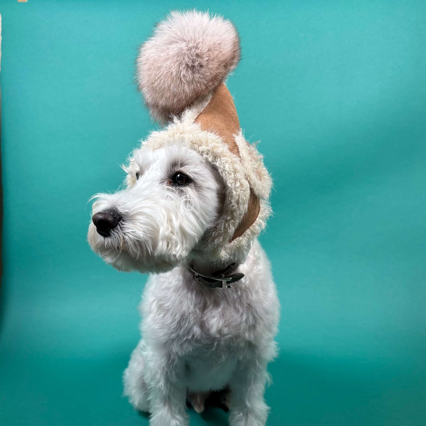 もこもこ妖精ハット