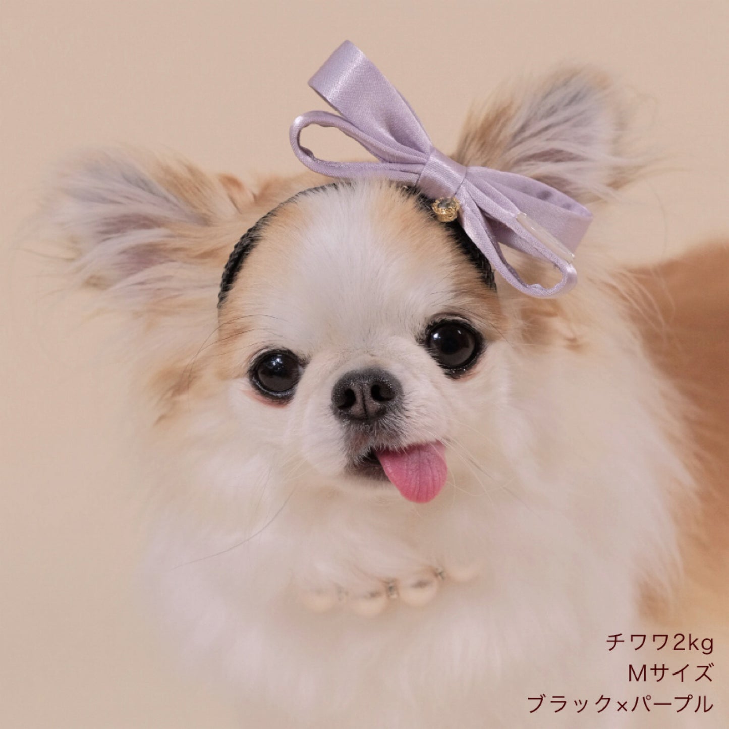 リボン麦カチューシャ