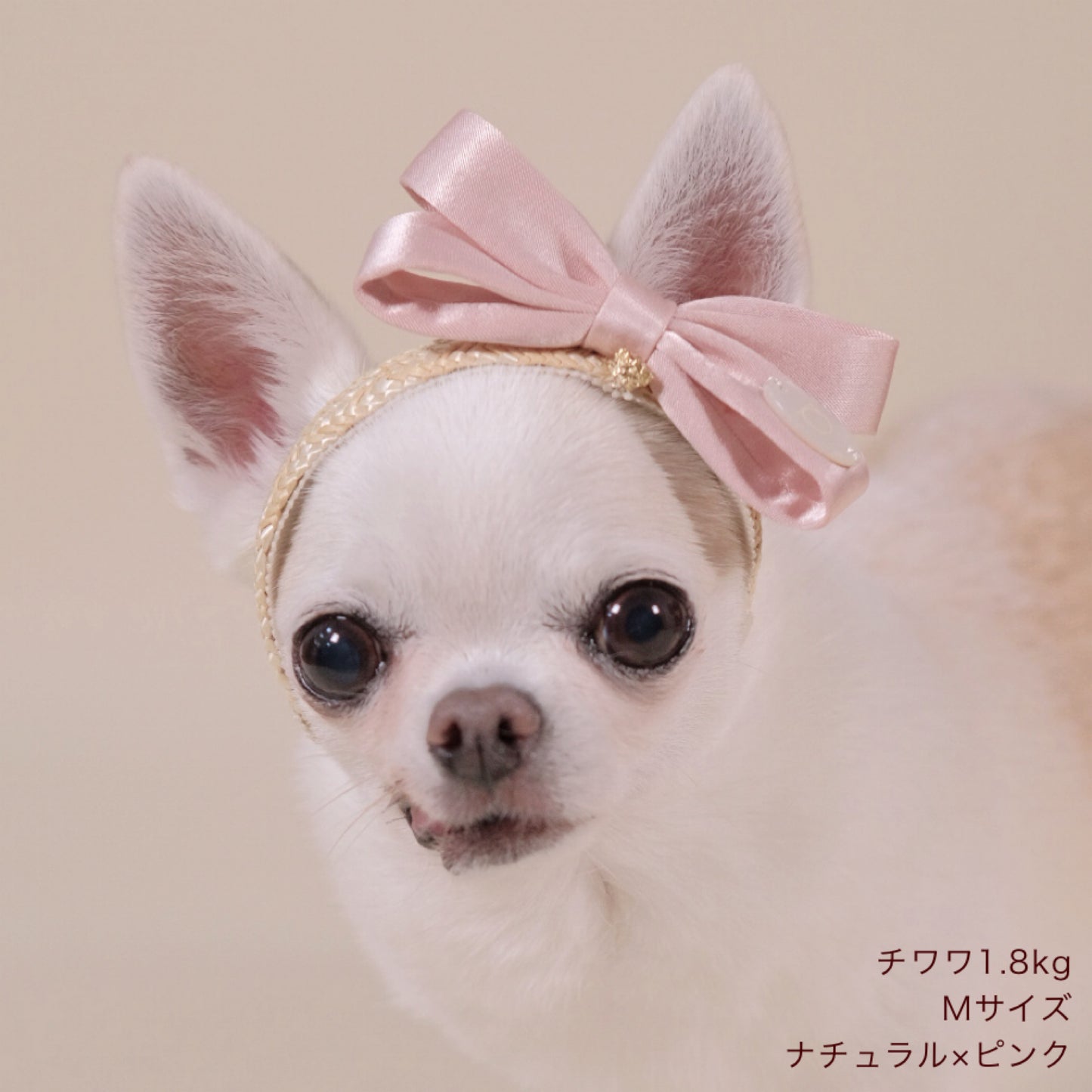 リボン麦カチューシャ