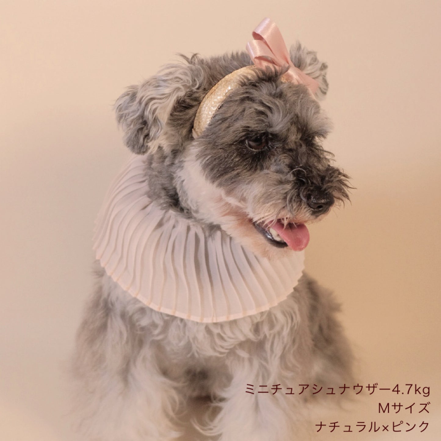 リボン麦カチューシャ