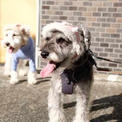 フライトキャップ　