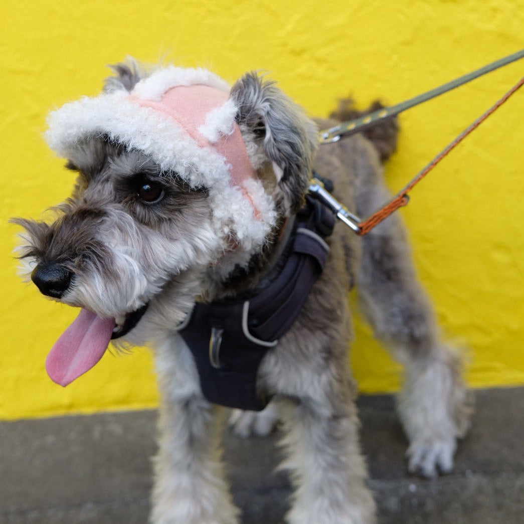 フライトキャップ　