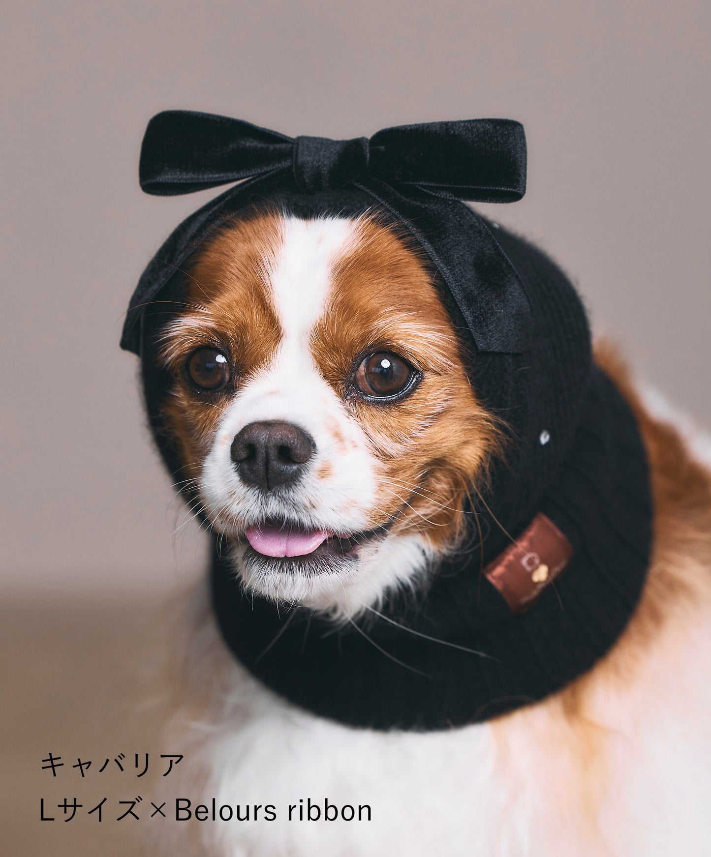 PinkNapDog×RURUQ コラボバラクラバ