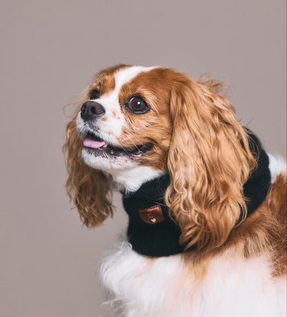 PinkNapDog×RURUQ コラボバラクラバ