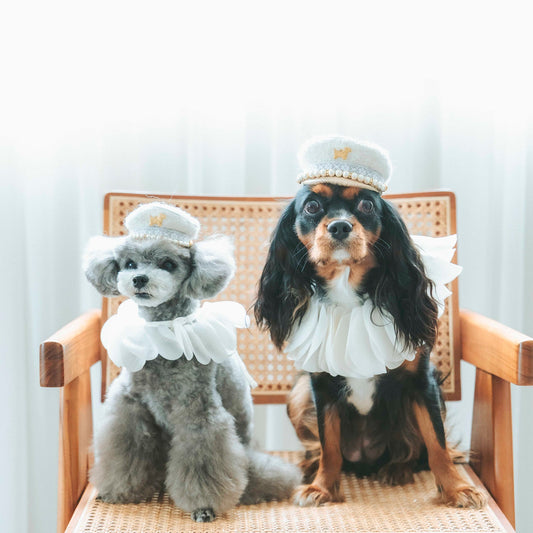 パールマリンキャップ（FOR DOG）