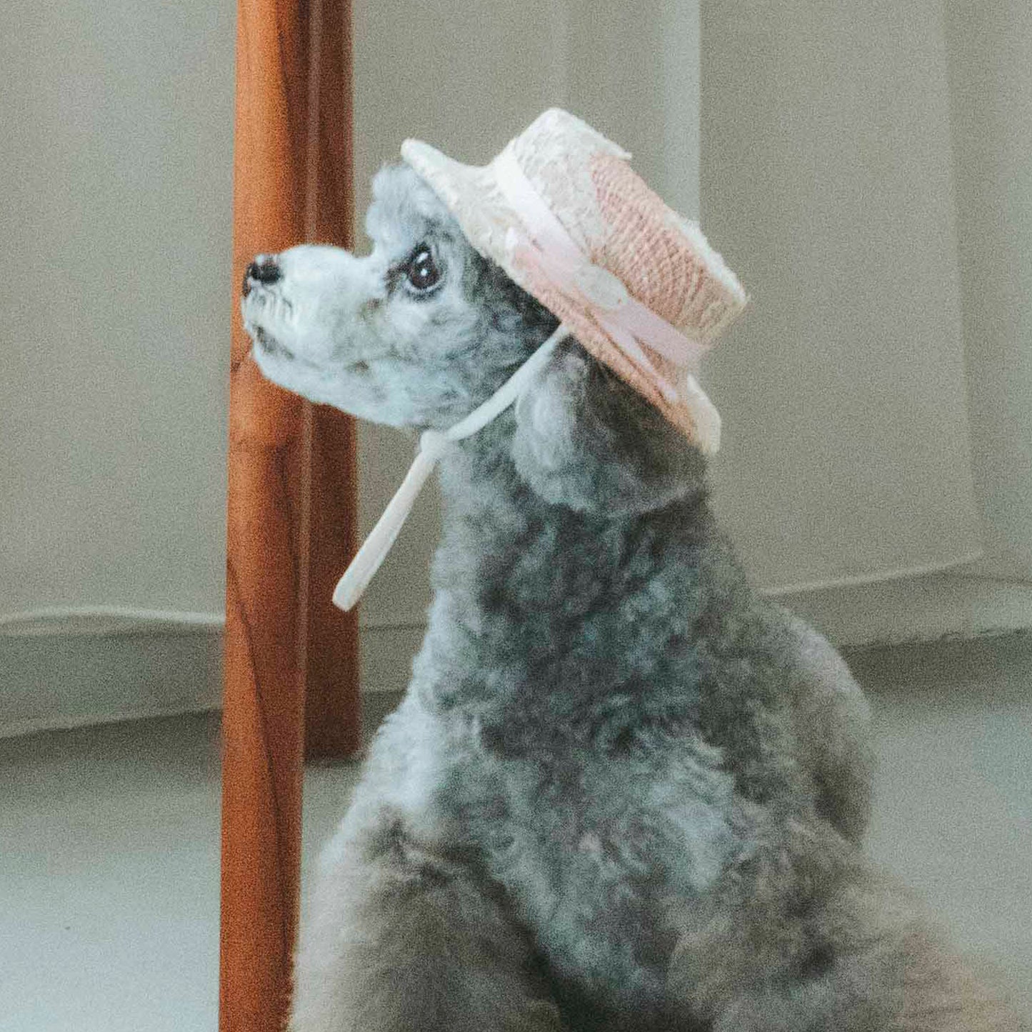 ラフィアレースカンカン帽（FOR DOG）