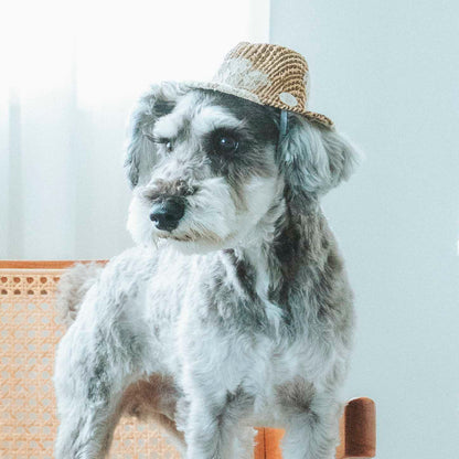 ラフィアレース中折れハット（FOR DOG）