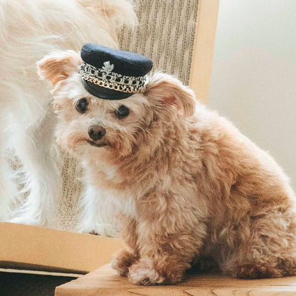 ノワールマリンキャップ（FOR DOG）