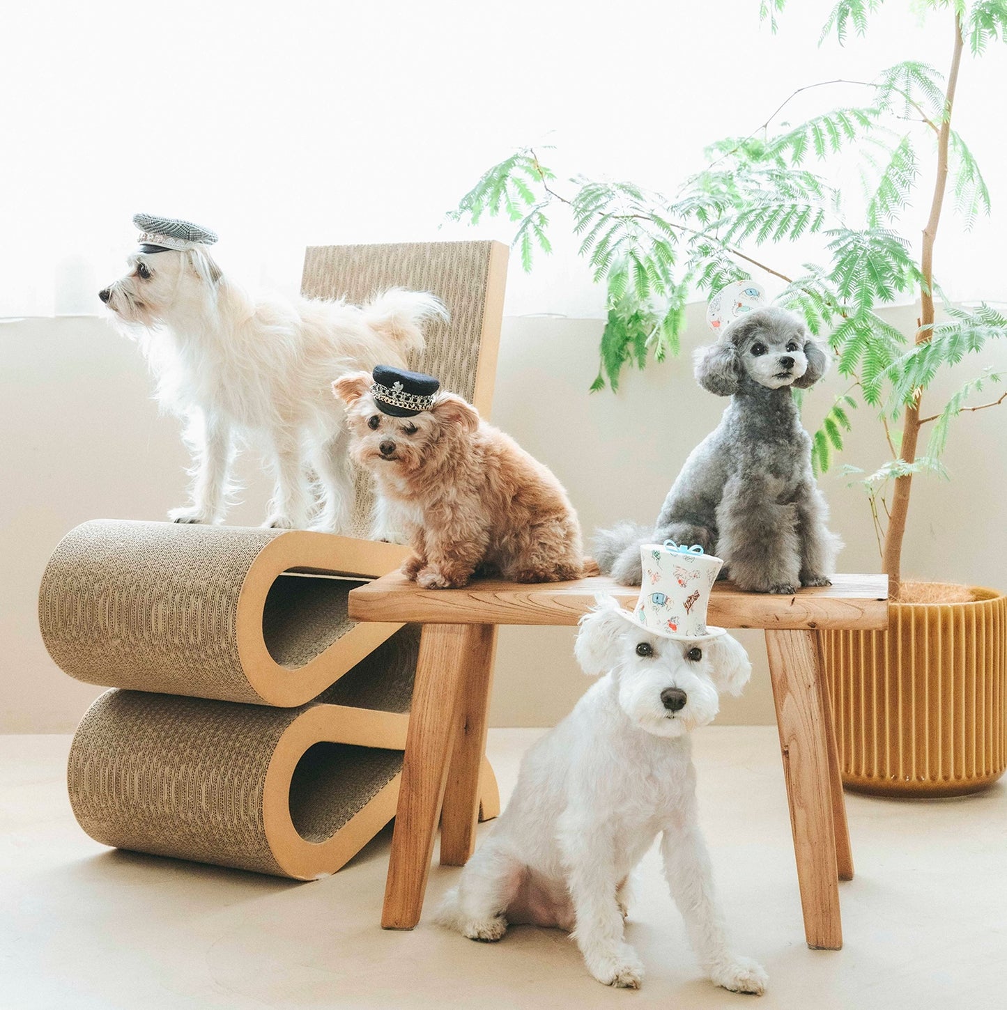 グレンチェックマリンキャップ（FOR DOG）