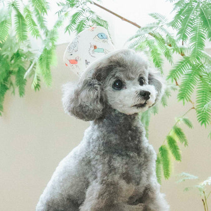 おともだちシルクハット（FOR DOG）