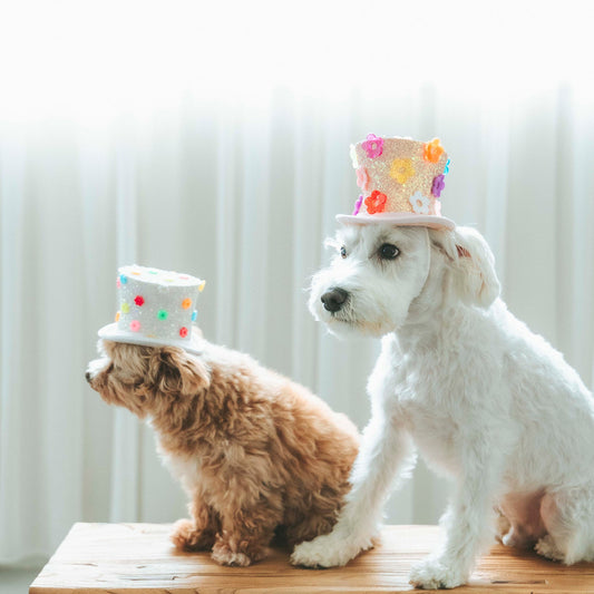 ポップ フラワーシルクハット　グリッターピンク（FOR DOG）