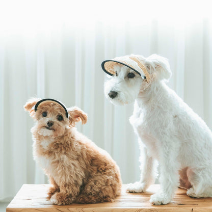 レース麦バイザー（FOR DOG）
