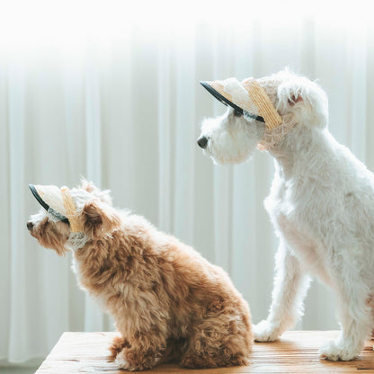レース麦バイザー（FOR DOG）