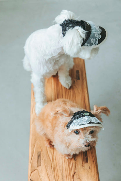 レース麦バイザー（FOR DOG）